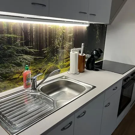 Apartamento Gemuetliches 4er In Skilift-naehe *