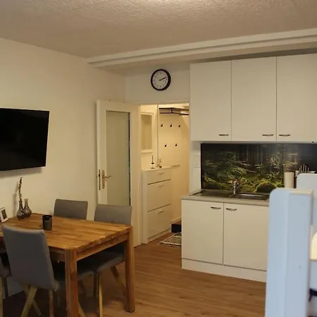 Gemuetliches 4er In Skilift-naehe Apartment *