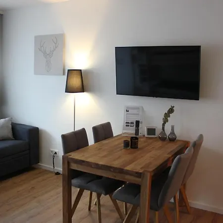 Gemuetliches 4er In Skilift-naehe Apartment