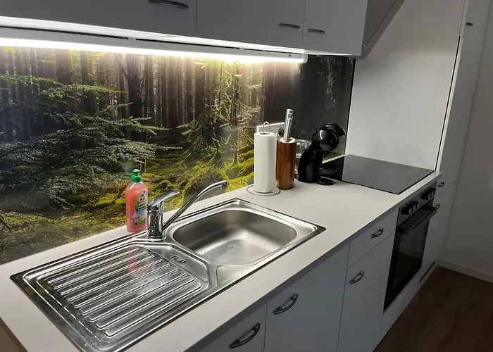 Apartamento Gemuetliches 4er In Skilift-naehe *