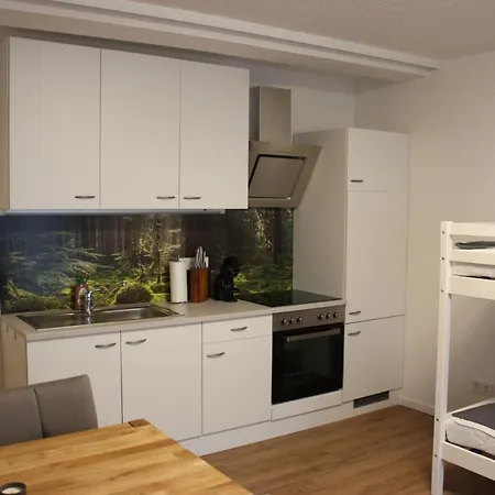 Gemuetliches 4er In Skilift-naehe Apartament